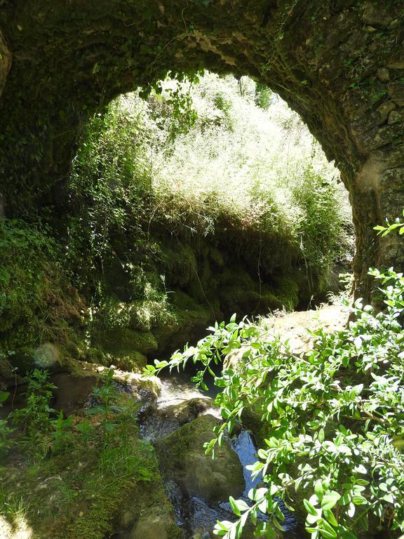 La Nichoule