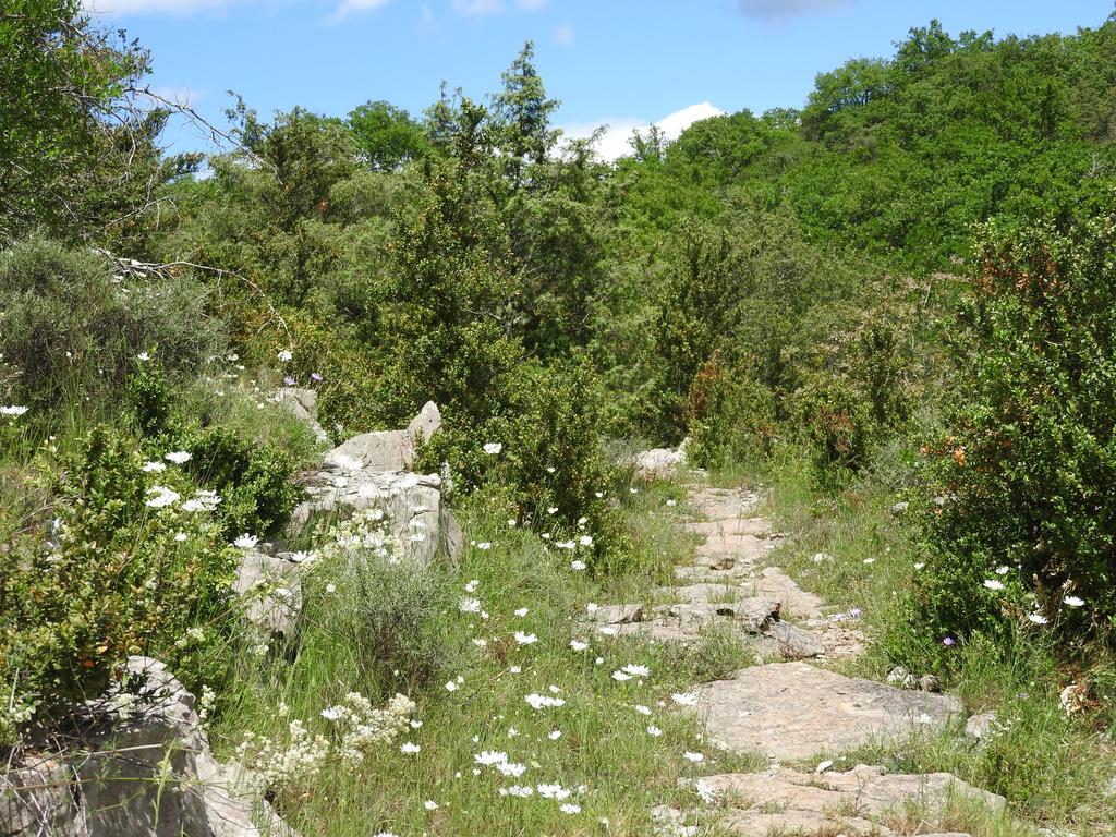 Ferienhaus La Nichoule